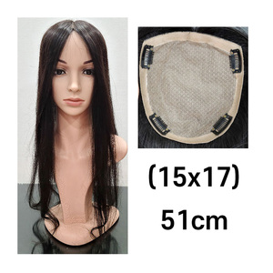 Pelucas coreanas premium Cosmo en Corea (15x17) - Peluca de cabello humano liso premium de 20 pulgadas, textura suave, acabado natural para mujeres - Product Image 2