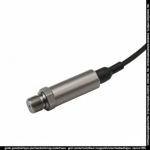 Sensor de Presión de Agua y Diésel GPT203 4-20mA IP68 IoT - Product Image 1