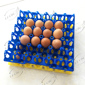 حاضنة بلاستيكية للدجاج 30 عدد صديقة للبيئة للبيع في باكستان 88 - Product Image 3
