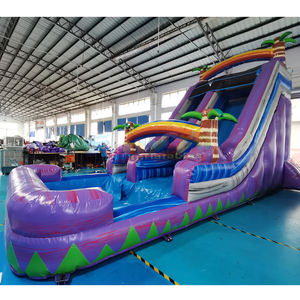 Castillo inflable comercial con piscina, tobogán acuático inflable, resbaladilla acuática tropical morada para niños - Product Image 3