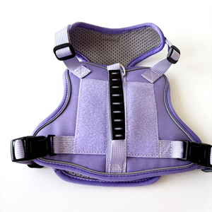 Arnés de Gato de Alta Calidad, Nuevo Estilo, Lujoso, a Prueba de Escapes, Ajustable, con Correa - Product Image 3