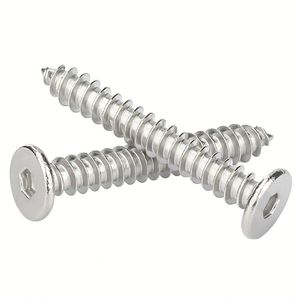 Vis de sécurité à tête ronde boutonnière en acier inoxydable ISO14583 304 316 pour plaques d'immatriculation - Product Image 1
