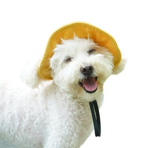 Chapeau de soleil d'été pour chien pour séances photo, chapeau de soleil pour golden retriever, chapeau de pêcheur en velours côtelé mignon pour animaux de compagnie, vente en gros - Product Image 5
