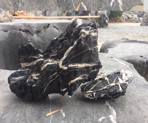 Hitam putih venin Seiryu batu akuarium lanskap mikro batu lanskap - Product Image 6