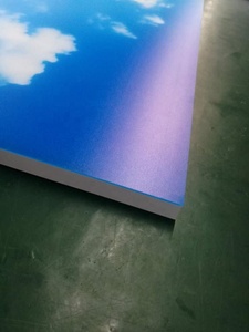 Đèn Trần Màu Xanh Không Khung 60X60Cm Cho Phòng Khám Bệnh MRI - Product Image 6