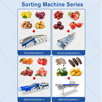 OCEAN Tomatensorteermachine Olijven Appels Fruit Groente Sorteermachine Kleine Fruit Roller Type Sorteermachine