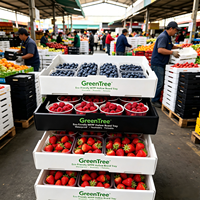 Conteneur à fruits pliable, empilable, réutilisable, imperméable en plastique ondulé léger PP pour l'emballage des baies