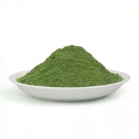 Fabricant Professionnel de Chou Frisé Lyophilisé de Qualité Export, Poudre de Chou Frisé Lyophilisé pour Smoothies Sains