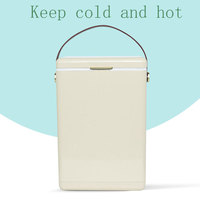 Glacière en métal 10L étanche, petite glacière polaire pour la pêche sur glace, glacière à jus pour le camping et les pique-niques en extérieur