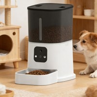 Distributeur automatique d'aliments pour animaux de compagnie à marque privée, Alimentador Automático, distributeur intelligent d'aliments pour animaux de compagnie en acier inoxydable, bols et distributeurs pour animaux de compagnie