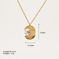 Femmes En Acier Inoxydable Géométrique Cheval Yeux Quadrilatère Sombre Tarot Pendentif Collier Zircon Incrusté Lumière Plaque Fine À La Mode