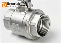 Bille haute pression en acier inoxydable 304 avec filetage NPT femelle/mâle, taille personnalisable, pour eau