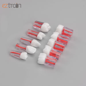 แบบจำลอง<span class=keywords><strong>ฟัน</strong></span>รากกด - Product Image 5