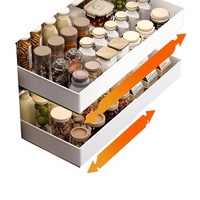 Étagère de rangement coulissante extensible en plastique de style minimaliste pour armoire, panier de rangement, plateau, organisateur d'épices