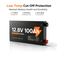 Batterie LiFePO4 ultra-mince 2,36 pouces 12V 100Ah avec indice de protection IP65, boîtier métallique, batterie lithium-ion ultra-mince 2,36 pouces