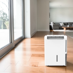 Deshumidificador con Compresor DS para Sala de Estar, Control Táctil, Función de Temporizador, Fácil de Mover, OEM/ODM Disponible - Product Image 1