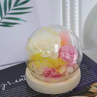 Vente en gros de mini roses éternelles artisanales sous cloche en verre avec base en bois, cadeau pour la Saint-Valentin, la fête des mères, Noël