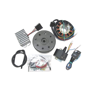 Bobine magnétique pour moto <span class=keywords><strong>Mz</strong></span> <span class=keywords><strong>Etz</strong></span>, pièces de Stator <span class=keywords><strong>250</strong></span> 251 - Product Image 1
