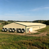 Poulailler préfabriqué en acier haute résistance pour l'élevage de poulets de chair avec ventilation intégrée pour une utilisation à long terme dans l'industrie zootechnique