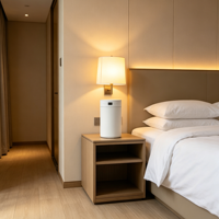 Diffuseur d'arômes multifonctionnel, humidificateur, barre d'oxygène, commande par bouton avec lumière nocturne pour voiture, bureau, hôtel, usage quotidien