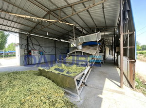 Automatic Mesh Belt Conveyor <b>Drying</b> Machine Continuous Agricultural Materials <b>Drying</b> <b>Equipment</b> - Product Image 5