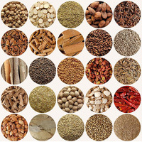 Hot Selling Chinese Five Spices Seasoning Powder 5 Spices Mixed Cooking Seasonings Natural Five-Spice Powder