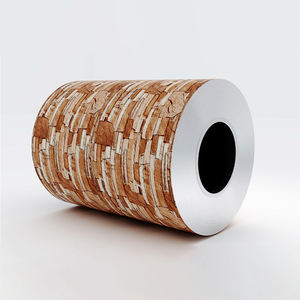 Buen Precio Hojas <span class=keywords><strong>PPGI</strong></span> Bobinas de acero recubiertas de color Fabricantes Z40 Revestimiento de zinc Lentejuela Z275 Rollo ligeramente suave ASTM - Product Image 6