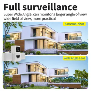Sleek And Powerful Yard Security With Smart Camera Technology And Nighttime Brightening