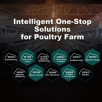 Cage à poules pondeuses de type A avec système d'alimentation automatique, de collecte des œufs et d'évacuation du fumier pour ferme avicole de 5000 à 20000 oiseaux