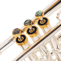 Silver-plated Brass Hand-carved One-piece BB Trumpet Beginner-friendly Lacquered Finish Stainless Steel Pistons