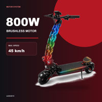 Trottinette électrique pliable 800W 48V 10Ah avec cadre en alliage d'aluminium, pneus tout-terrain étanches de 11 pouces et éclairage LED coloré