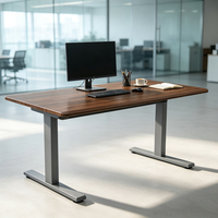 Cadre de bureau électrique réglable en hauteur de haute qualité, construction en acier robuste, assemblage rapide, vente en gros, MOQ 1 pièce
