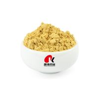 Poudre de Quercétine de Haute Pureté CAS 117-39-5 Issu d'Extrait de Sophora Japonica 95% 98% Certifié HPLC GMP Matière Première en Vrac