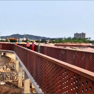 Barandilla de Acero Tianying Resistente a la Corrosión F06, Hecha a Medida para Carreteras, Parques, Comunidades, Jardines Municipales, Redes de Protección - Product Image 2