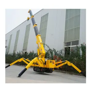 Portable Crawler Crane 3 Ton 9.2m Lifting Mini Spider Crane Price