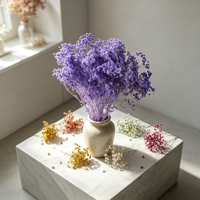 Buket Bunga Gypsophila Baby's Breath Ungu Abadi untuk Dekorasi Vas Pernikahan, Rumah, dan Centerpiece Meja