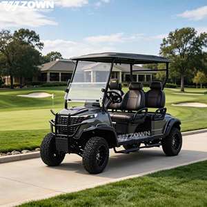 Voiturette de golf électrique commerciale puissante à moteur sans balais, homologuée OEM, pour clubs de golf, parcs touristiques et villages de vacances - Product Image 1
