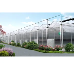 Large Size And Multi-Span Agricultural Polycarbonate Greenhouse For Sale