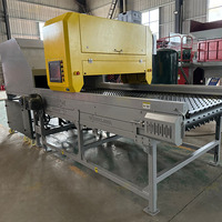 Trieur optique de déchets plastiques (PVC, PC, LDPE) à grande vitesse, propulsé par jet, protection IP65, 12 kW, pour bouteilles et déchets multiples
