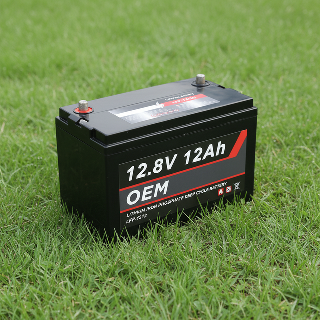 Factory 12V 12ah LiFePO4 Grade a LFP 12.8V Pack 24V 48V 100ah 280ah 300ah 400ah Smart Battery Lithium Ion Battery Price BMS
