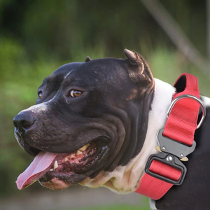 Collier tactique pour chien résistant à l'usure, multicolores, réglable, pour l'entraînement en extérieur, pour chiens de taille moyenne/grande - Product Image 3