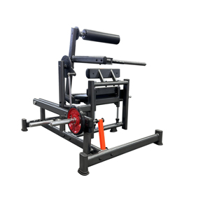 Commerciële Dubbele 45 Heupverlenging Stalen Billenbouwer Beenarm Krachttraining Gymmachine Met Borstrug Functieplaat Geladen - Product Image 3