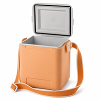 Glacière portable 10L avec poignée pour pique-nique, camping, plage et utilisation en extérieur