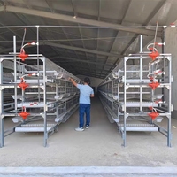 Cages à Poules Pondeuses Automatiques pour Fermes Avicoles – Cage de Type H