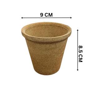 Gobelets jetables écologiques naturels 250ml 8.5oz Verres compostables biodégradables pour boissons chaudes et froides Fête de traiteur - Product Image 3