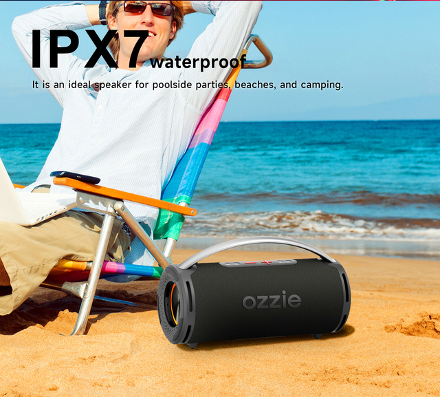 100W Peak Power BT Speaker with Dual Passive Radiators, IPX7 Waterproof, RGB Lights, 5000mAh Battery and Power Bank