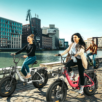 Pour L20 vélo électrique 250W 20in gros pneu 48V 13Ah batterie au Lithium moyeu arrière moteur LCD affichage système de frein à disque ville