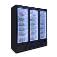 Congélateur vertical commercial à double porte vitrée avec zone de congélation inférieure pour aliments surgelés