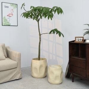 <span class=keywords><strong>Pot</strong></span> <span class=keywords><strong>de</strong></span> fleurs créatif <span class=keywords><strong>de</strong></span> style nordique irrégulier, grand format pour salon, intérieur, pour Alocasia, Black King, Rubber Tree YX110 - Product Image 3