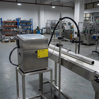 Machine de codage à tubes métalliques CIJ, imprimante à jet d'encre continu pour emballages souples en plastique (coquilles d'œufs), haute productivité automatique